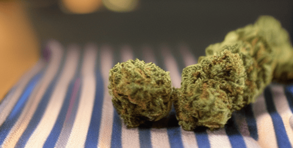Gorilla Glue #4